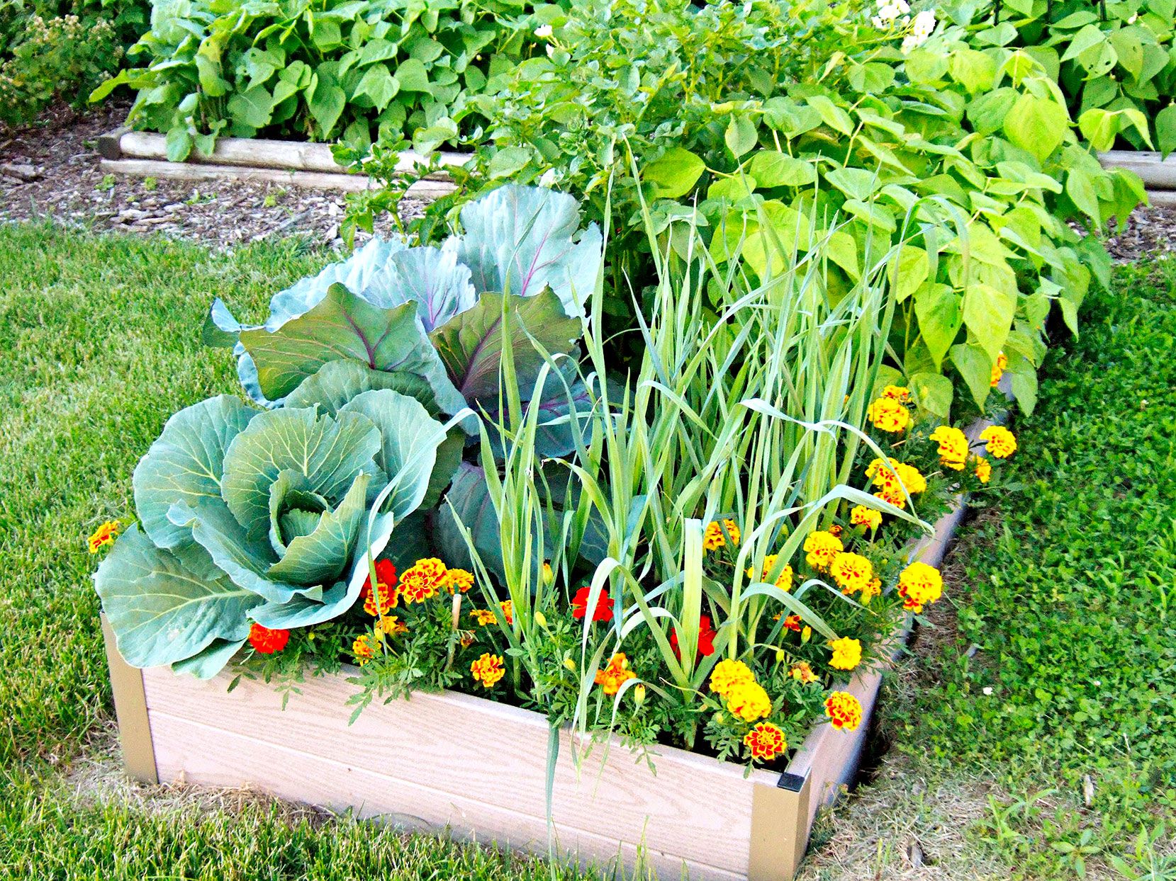 Seasonal Gardening for Beginners: A Green Thumb’s Guide