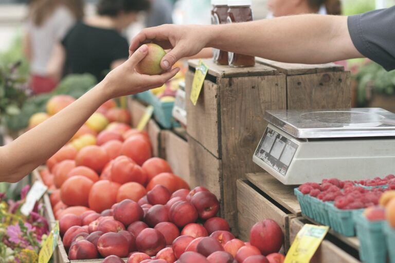 The Benefits of Buying from Nurseries