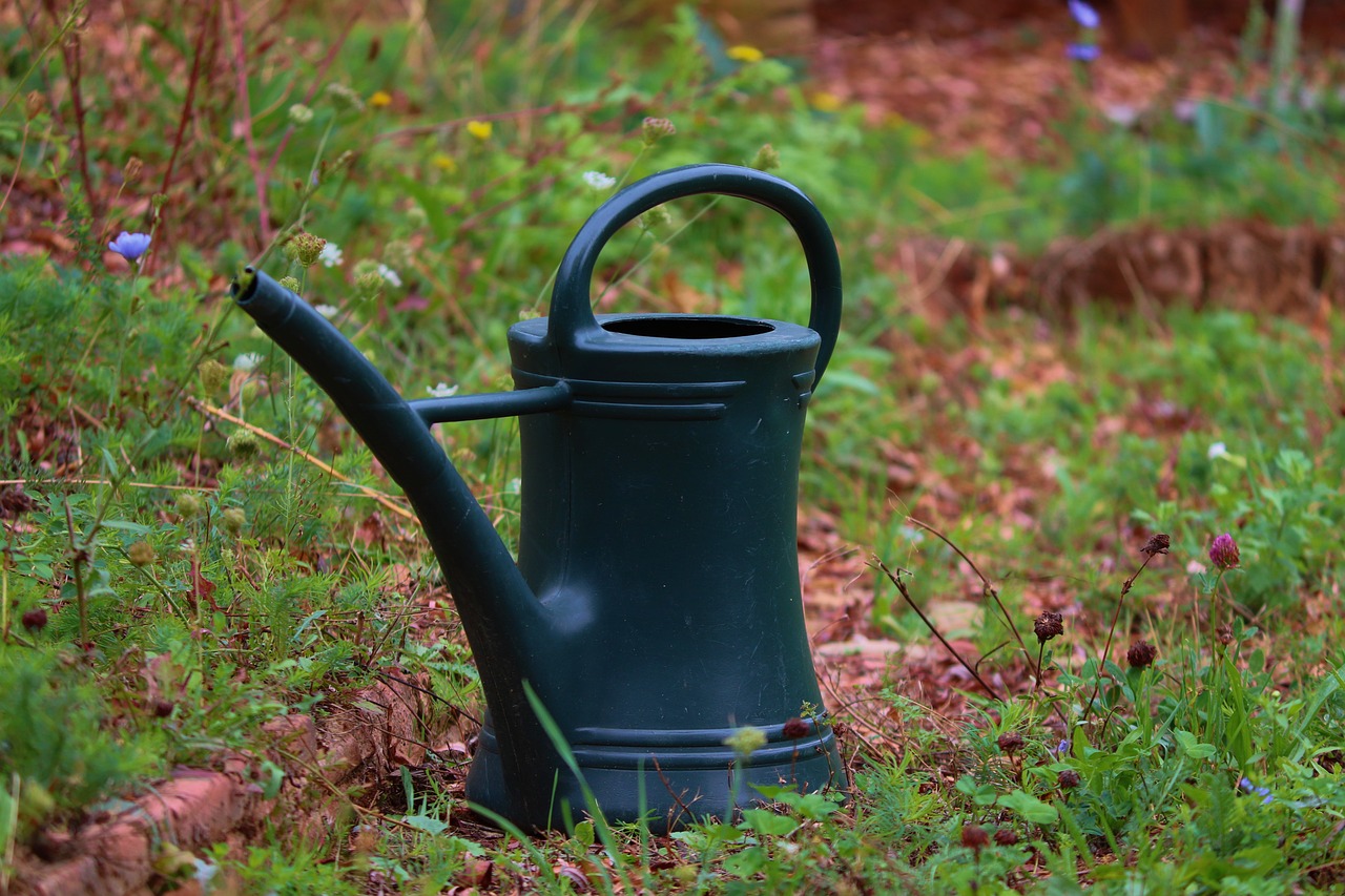 Innovative Watering Solutions for Small-Scale Nurseries