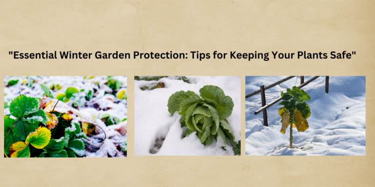 How can I protect my garden in winter?